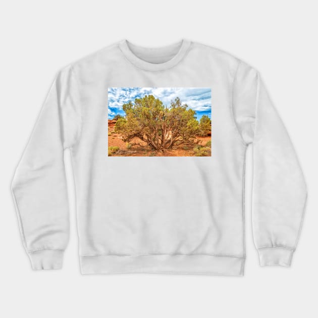 Juniper Tree, Capitol Reef National Park Crewneck Sweatshirt by Gestalt Imagery